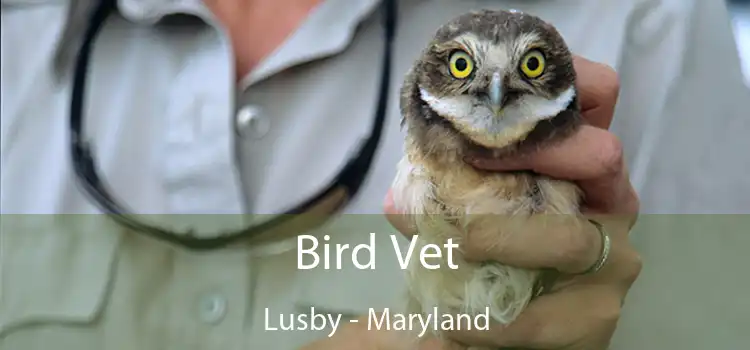 Bird Vet Lusby - Maryland