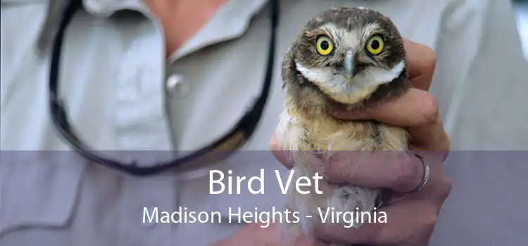 Bird Vet Madison Heights - Virginia
