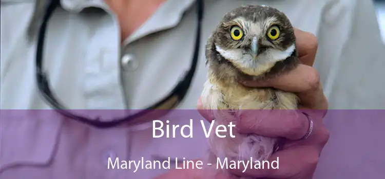 Bird Vet Maryland Line - Maryland