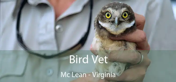 Bird Vet Mc Lean - Virginia