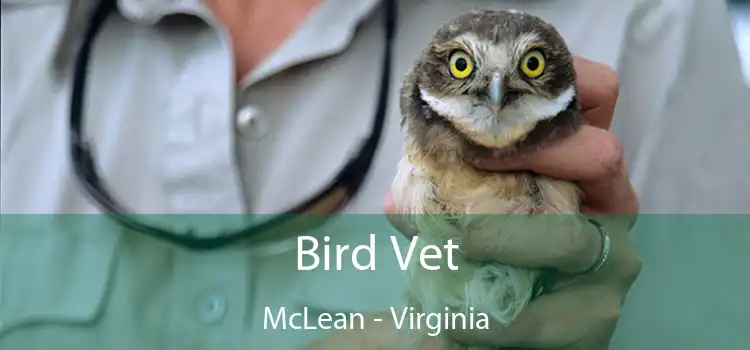 Bird Vet McLean - Virginia