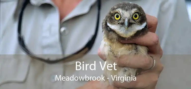 Bird Vet Meadowbrook - Virginia