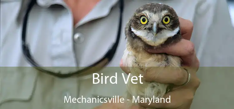Bird Vet Mechanicsville - Maryland