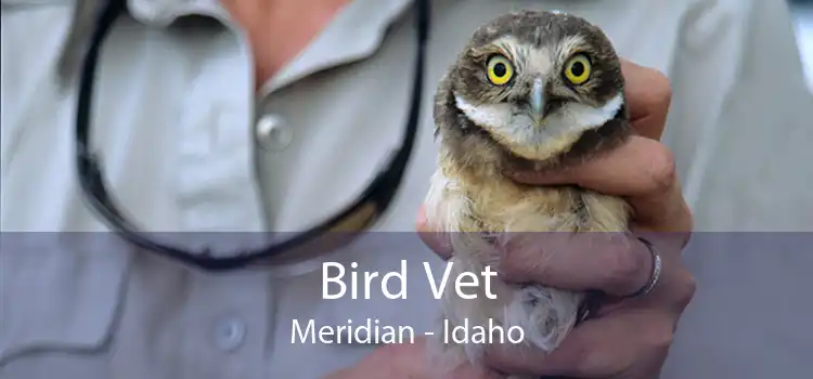 Bird Vet Meridian - Idaho