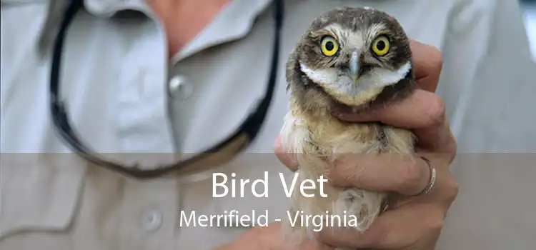 Bird Vet Merrifield - Virginia