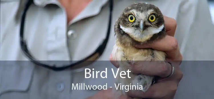 Bird Vet Millwood - Virginia