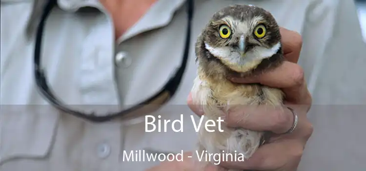 Bird Vet Millwood - Virginia