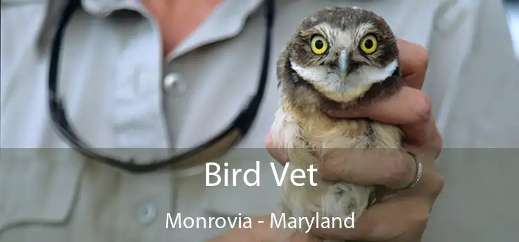 Bird Vet Monrovia - Maryland
