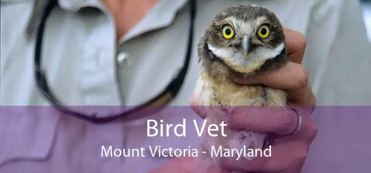 Bird Vet Mount Victoria - Maryland