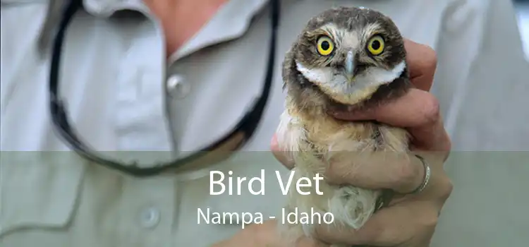 Bird Vet Nampa - Idaho