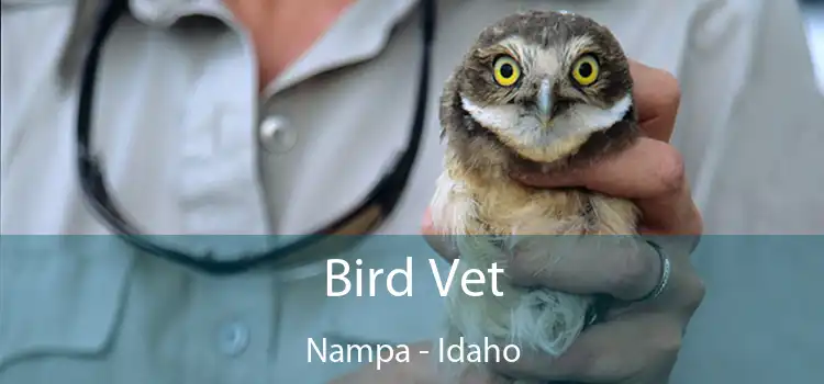 Bird Vet Nampa - Idaho