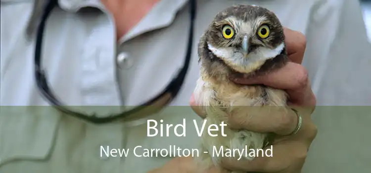 Bird Vet New Carrollton - Maryland