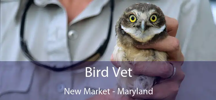 Bird Vet New Market - Maryland