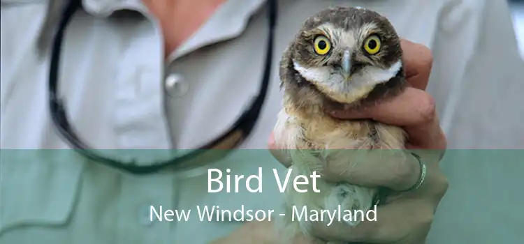 Bird Vet New Windsor - Maryland