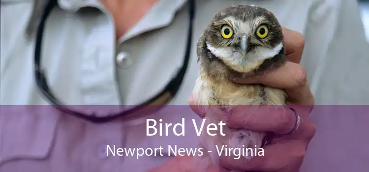 Bird Vet Newport News - Virginia