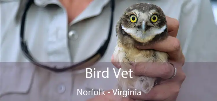 Bird Vet Norfolk - Virginia