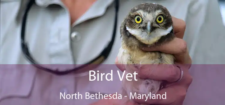 Bird Vet North Bethesda - Maryland