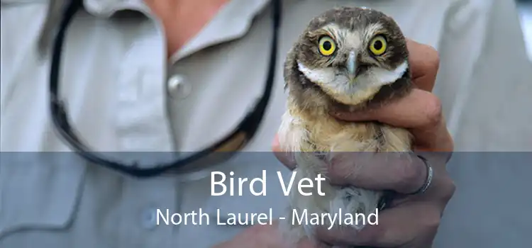 Bird Vet North Laurel - Maryland