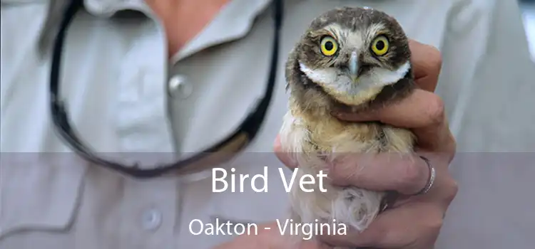 Bird Vet Oakton - Virginia