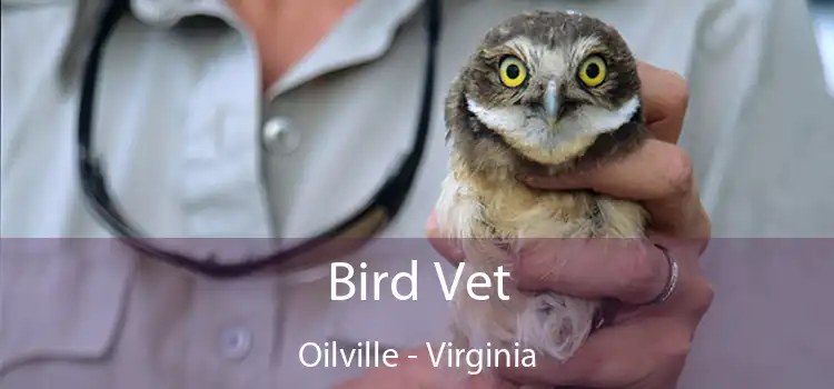 Bird Vet Oilville - Virginia
