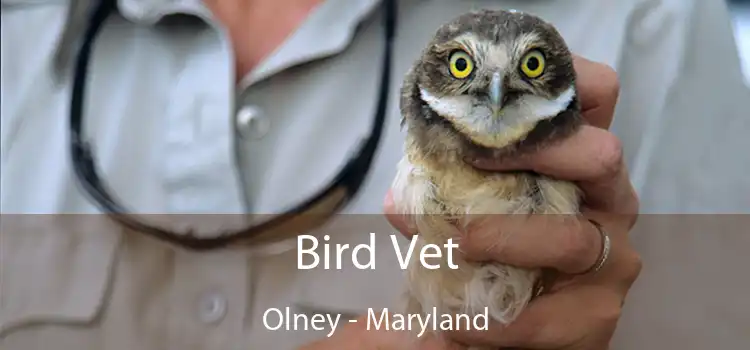 Bird Vet Olney - Maryland