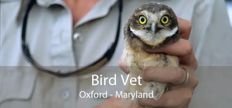 Bird Vet Oxford - Maryland
