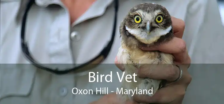 Bird Vet Oxon Hill - Maryland