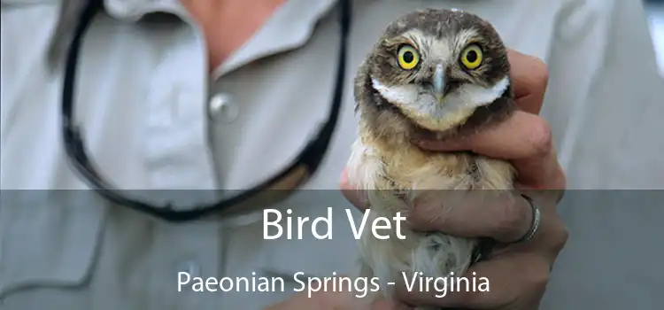 Bird Vet Paeonian Springs - Virginia