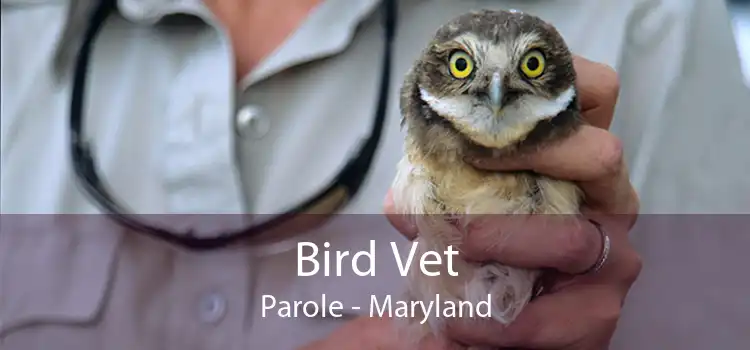 Bird Vet Parole - Maryland