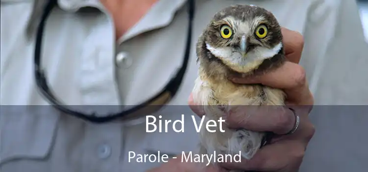 Bird Vet Parole - Maryland