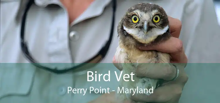 Bird Vet Perry Point - Maryland