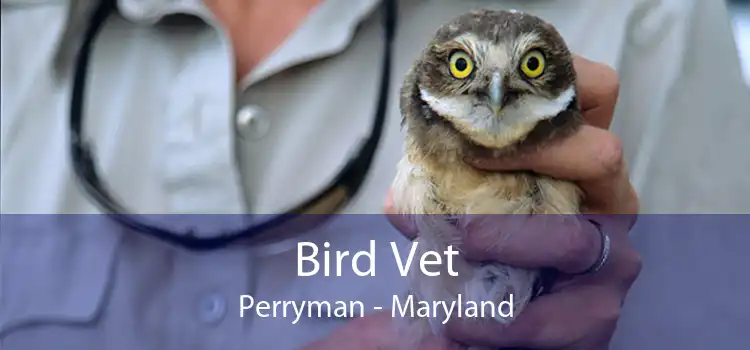Bird Vet Perryman - Maryland