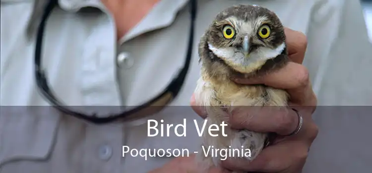 Bird Vet Poquoson - Virginia
