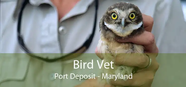Bird Vet Port Deposit - Maryland