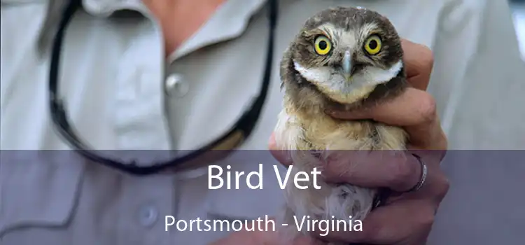 Bird Vet Portsmouth - Virginia