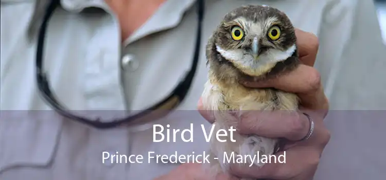 Bird Vet Prince Frederick - Maryland
