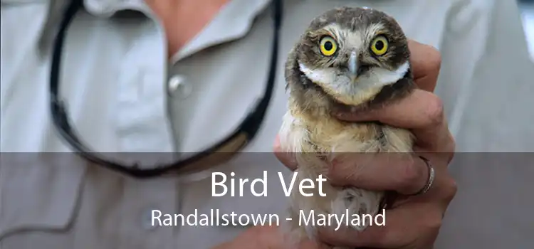 Bird Vet Randallstown - Maryland