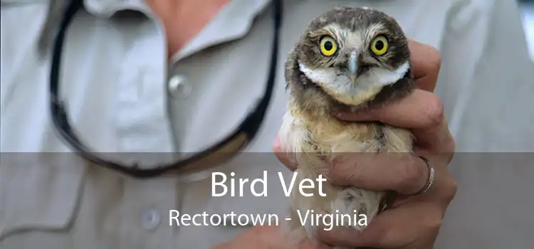Bird Vet Rectortown - Virginia