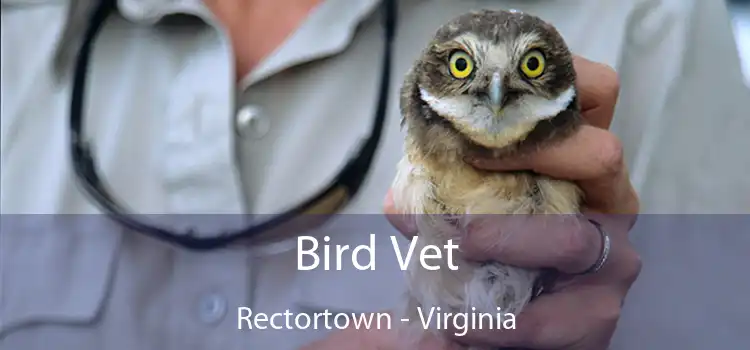 Bird Vet Rectortown - Virginia