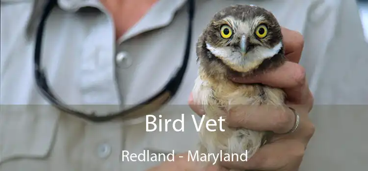 Bird Vet Redland - Maryland