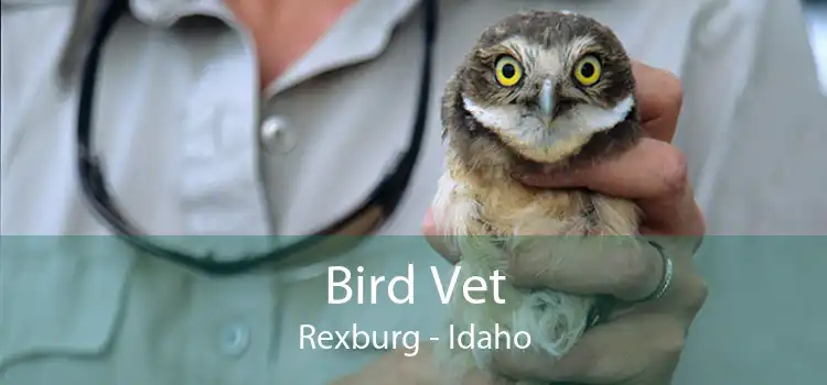 Bird Vet Rexburg - Idaho