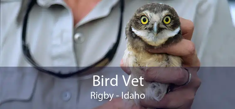 Bird Vet Rigby - Idaho