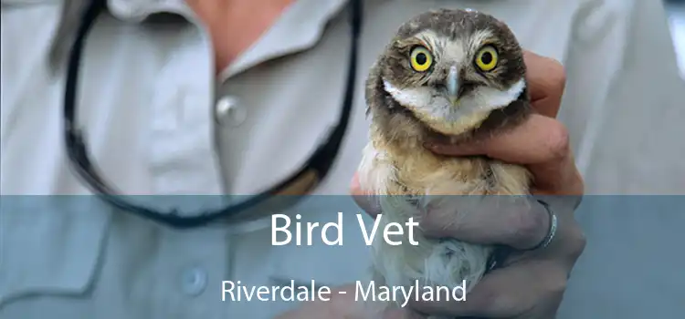 Bird Vet Riverdale - Maryland