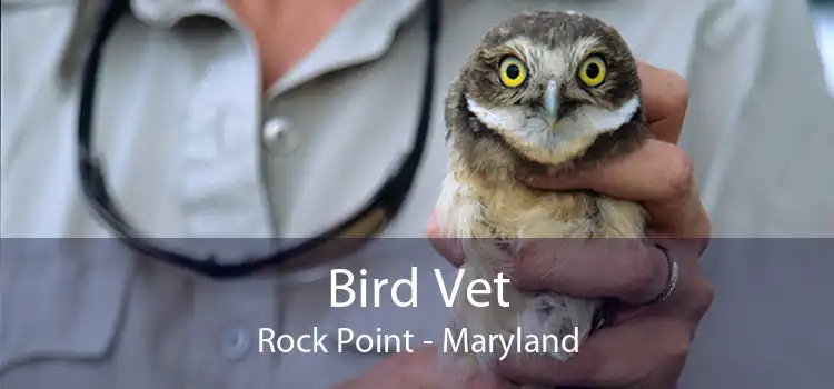 Bird Vet Rock Point - Maryland