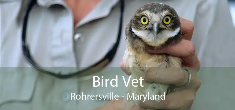 Bird Vet Rohrersville - Maryland