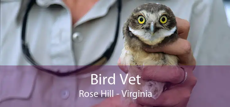 Bird Vet Rose Hill - Virginia