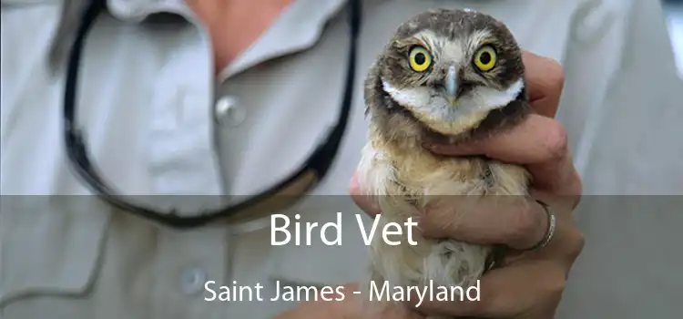 Bird Vet Saint James - Maryland