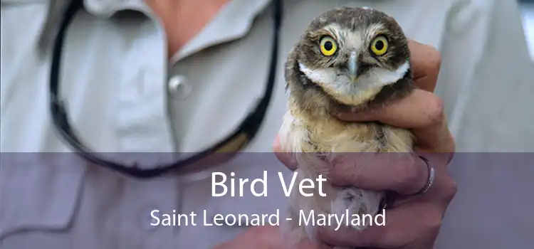 Bird Vet Saint Leonard - Maryland