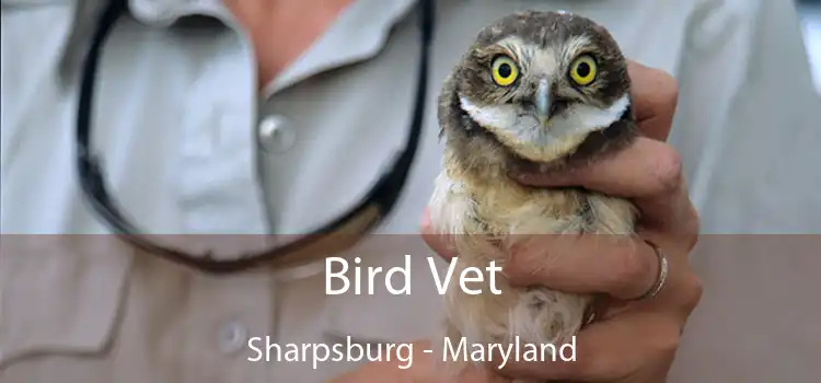 Bird Vet Sharpsburg - Maryland