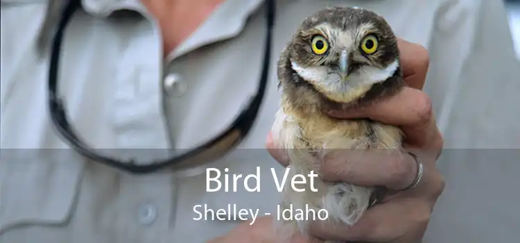 Bird Vet Shelley - Idaho
